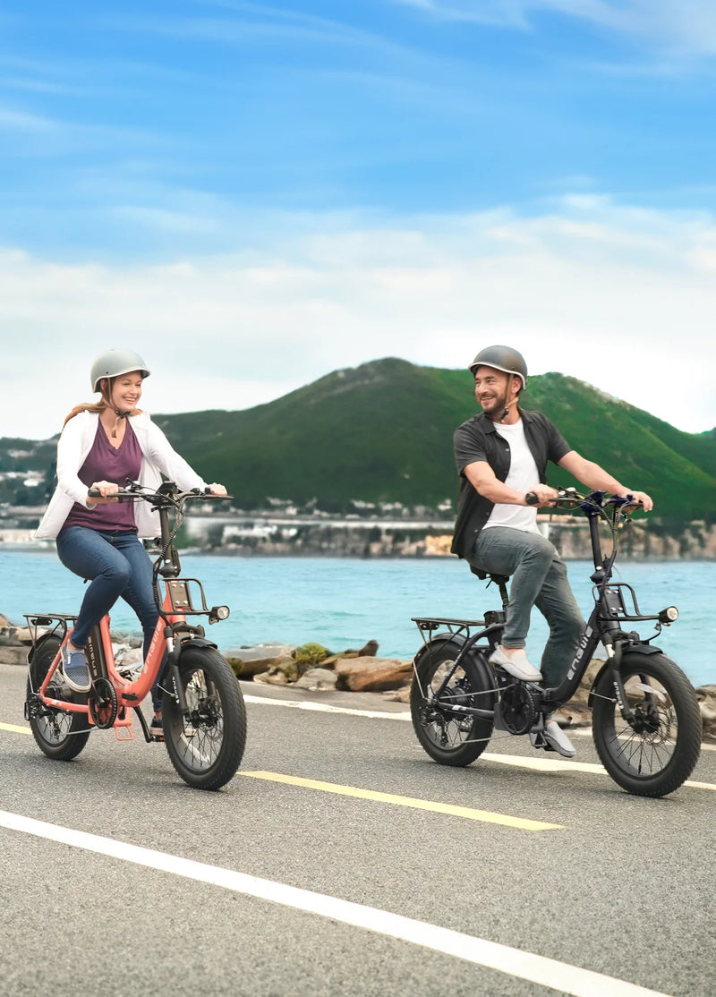 ENGWE L20 2.0 750W 75N.m 68 Miles Step-Thru Utility E-bike（Front Basket Excluded)
