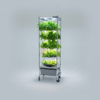 Home Hydroponic Grow System